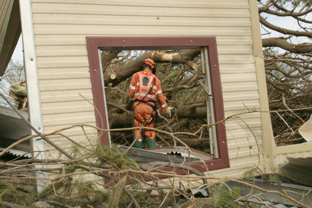 Best Storm Damage Tree Cleanup  in Clintwood, VA